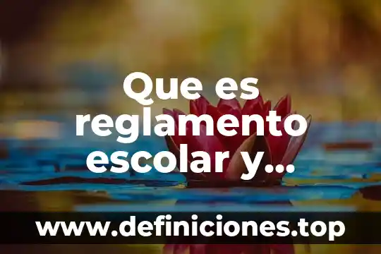 Que es un argumento literario ejemplo 4 Que es reglamento escolar y ejemplo