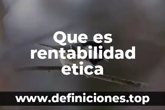 Que es una acción y como se calcula la rentabilidad 7 Que es rentabilidad etica