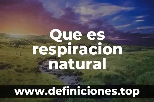 Que es la respiracion su importancia 5 Que es respiracion natural