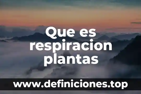 Que es respiracion plantas