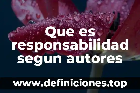 Que es responsabilidad segun autores