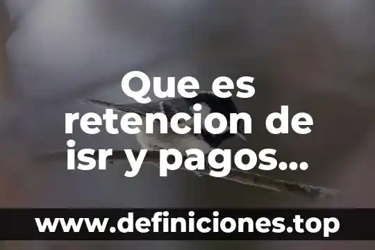 Que es periodo de retencion 5 Que es retencion de isr y pagos provisionales