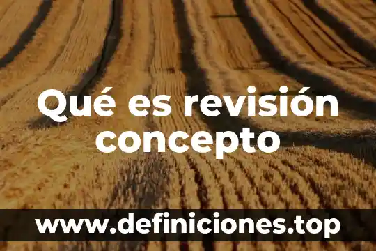 Qué es revisión concepto