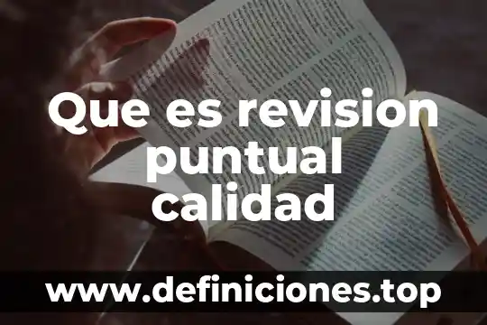 Que es revision puntual calidad