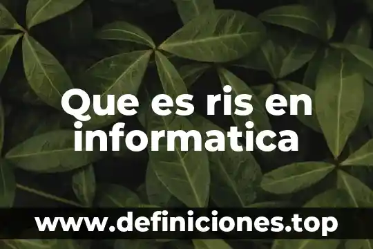 Que es ris en informatica
