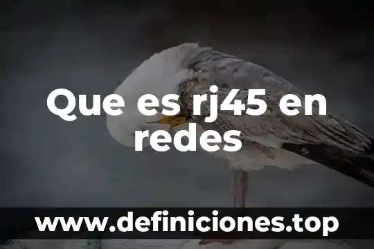 Que es un modelo de comunicacion redes 4 Que es rj45 en redes