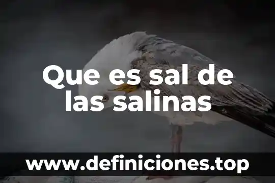 Para que es la sal en la pintura 5 Que es sal de las salinas
