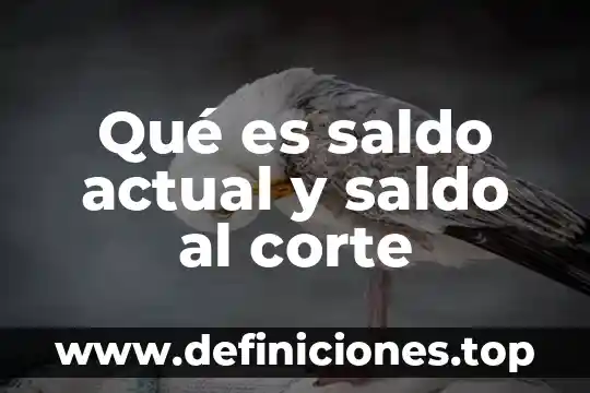 Qué es saldo actual y saldo al corte