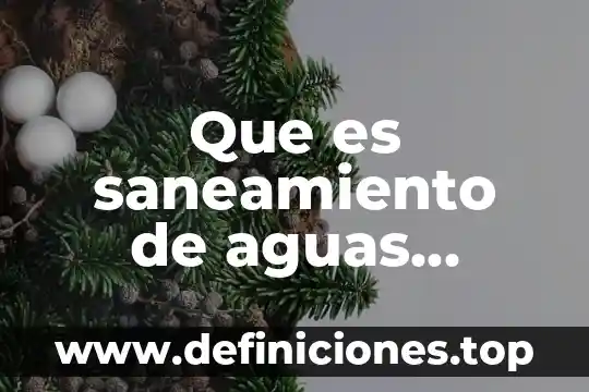 Que es saneamiento de aguas residuales