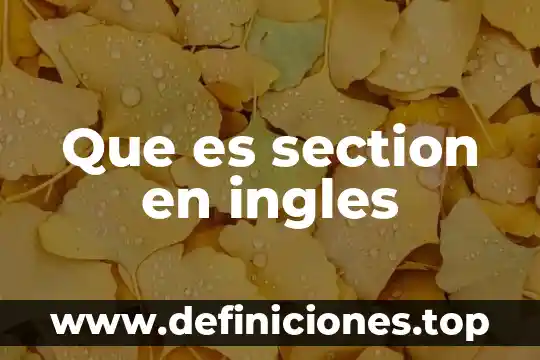 Que es section en ingles