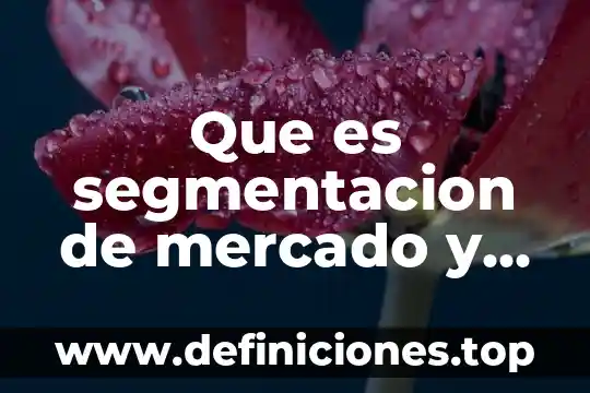 Que es una industria semi automatizada 5 Que es segmentacion de mercado y sus bases teoricas