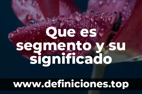 Que es derecho significado 4 Que es segmento y su significado
