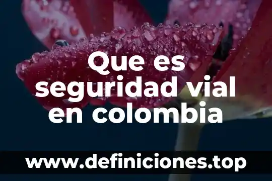 Que es el area de accidentologia vial 8 Que es seguridad vial en colombia