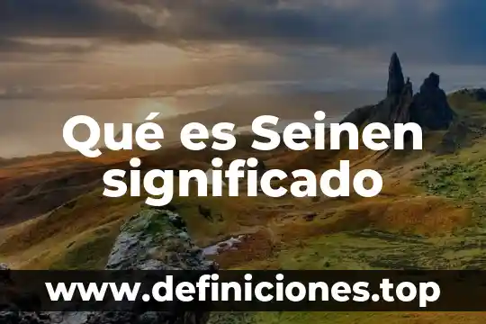 Qué es Seinen significado