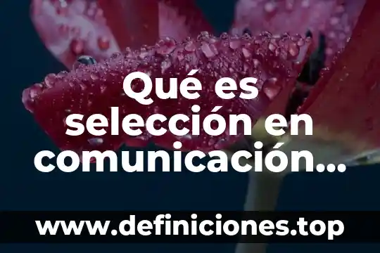 Que es la consultoria en comunicacion 7 Qué es selección en comunicación oral