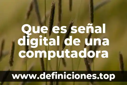 Que es señal digital de una computadora