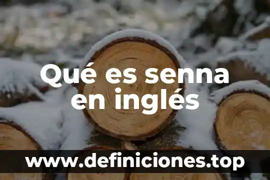 Qué es una reliquia en inglés 6 Qué es senna en inglés
