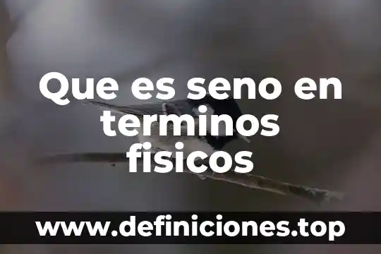 Qué es la apendicitis revista medicas 3 Que es seno en terminos fisicos