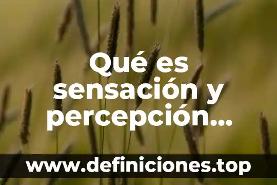 Ubuntu que es y características 7 Qué es sensación y percepción características