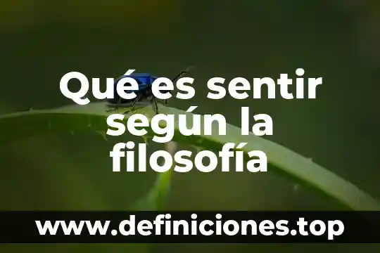 Qué es el Organon de la filosofía 7 Qué es sentir según la filosofía