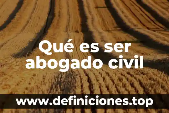 Derecho civil que es persona 3 Qué es ser abogado civil