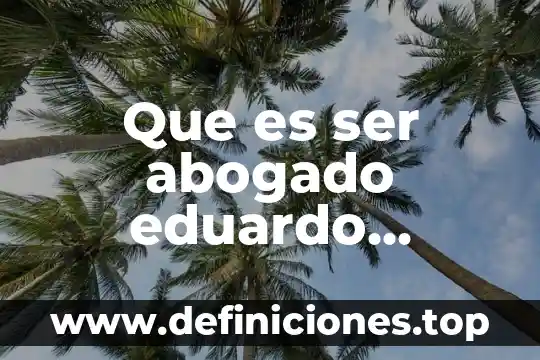 Abogado económico que es 4 Que es ser abogado eduardo couture