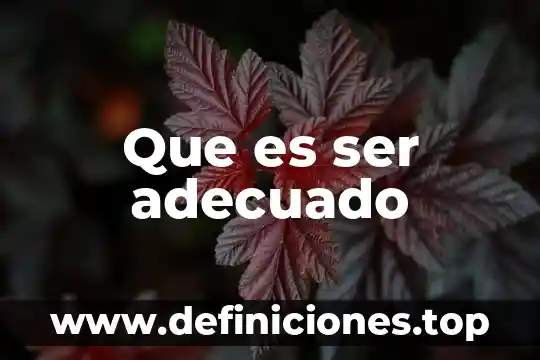 Que es ser adecuado