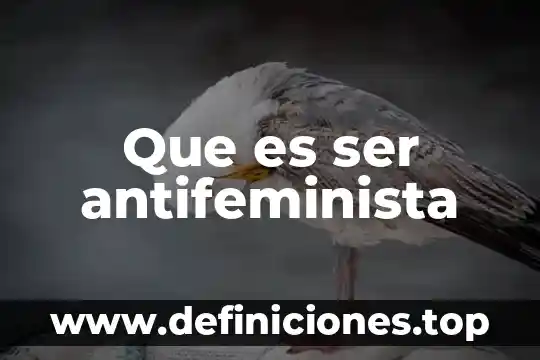 Que es ser antifeminista