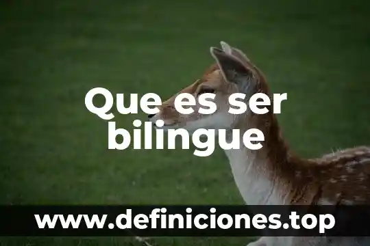 Que es ser bilingue