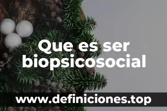 Que es ser biopsicosocial