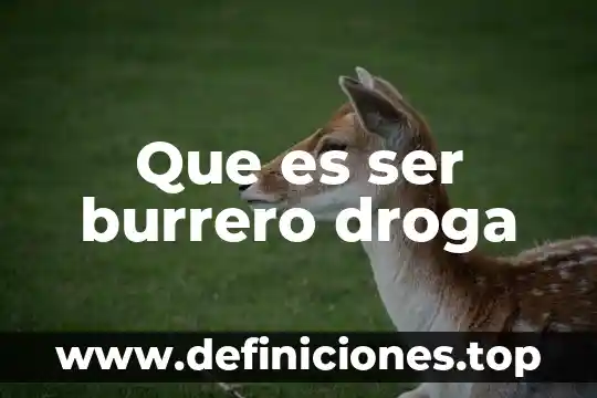 Que es ser burrero droga