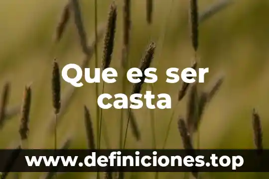 Que es ser federado en un deporte 7 Que es ser casta