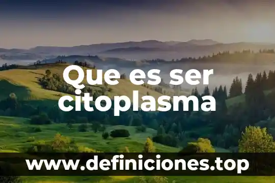 Que es la unidad principal computadora 8 Que es ser citoplasma