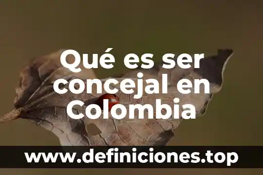 Qué es ser concejal en Colombia