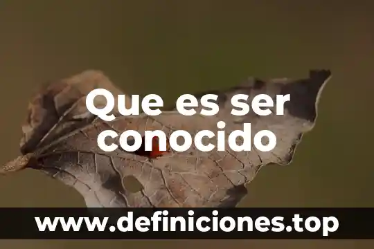 Que es epistemologia del sujeto conocido 5 Que es ser conocido