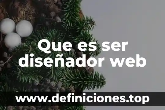 Que es ser diseñador web