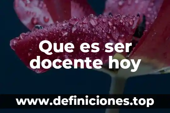 Conductoras del programa hoy que es lesviana 8 Que es ser docente hoy