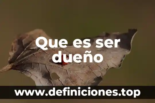 Que es ser dueño