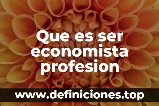 Que es ser economista profesion