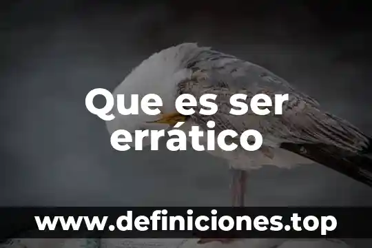 Que es ser errático