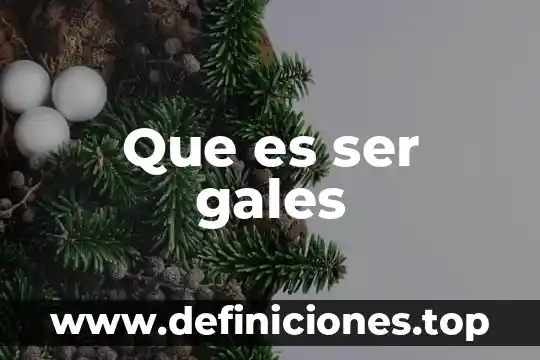 Que es ser gales