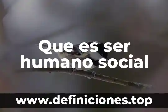Que es ser humano social
