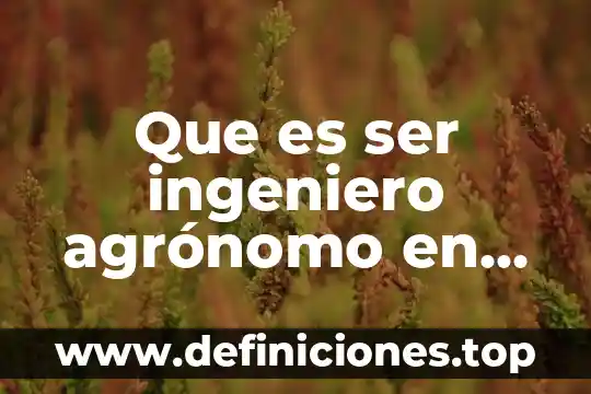 Que es ser ingeniero agrónomo en horticultura protegida