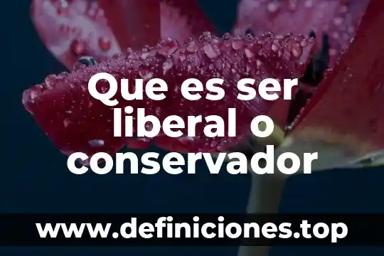 Que es ser liberal o conservador