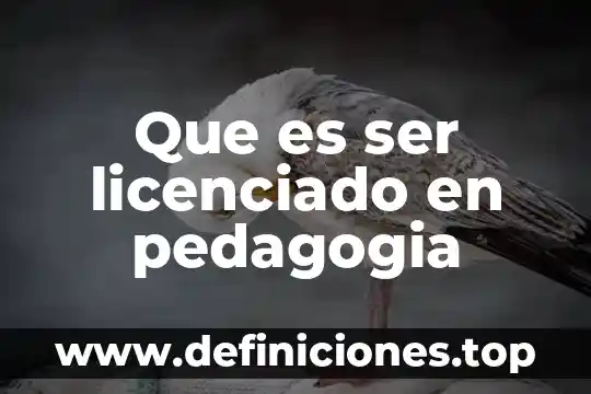Que es ser una persona afroamericana 3 Que es ser licenciado en pedagogia