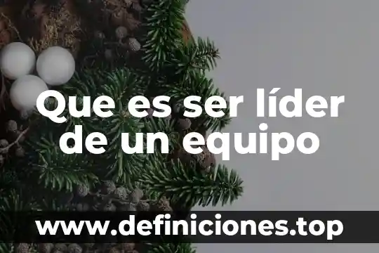 Que es ser líder de un equipo