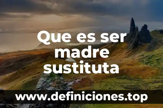 Que es una tarjeta madre y para que sirve 8 Que es ser madre sustituta