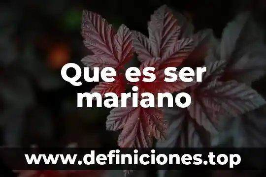 Que es ser mariano