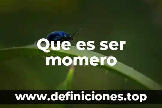 Que es ser momero