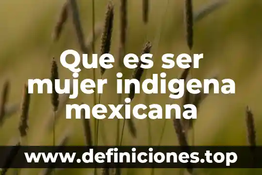 Que es ser mujer indigena mexicana